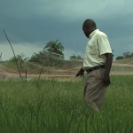 AgriculturalDevelopmentSmallShareFarmers02-1280x7205MB.wmv