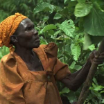 AgriculturalDevelopmentWomenFarmers02-1280x7205MB_1.wmv