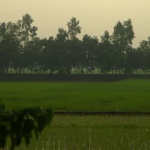 B-ROLL-200909-India-Rice-AgDev.mp4