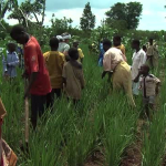 BROLL-200705-AfricaUganda-AgDev.mp4