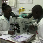 b-roll: Mozambique, 2011