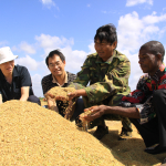 赛赛友谊农场, 莫桑比克。