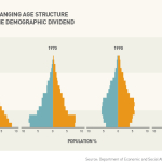 infographic #3