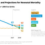 Goalkeepers2022NeonatalMortalityMediaasset.png