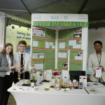 Gold Category Runner Up