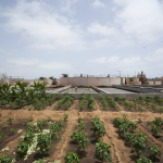 Dakar, Senegal, 2013