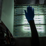 Syringe assembly at Revital Healthcare factory